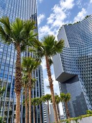 Duo Residences (D7), Apartment #639104431